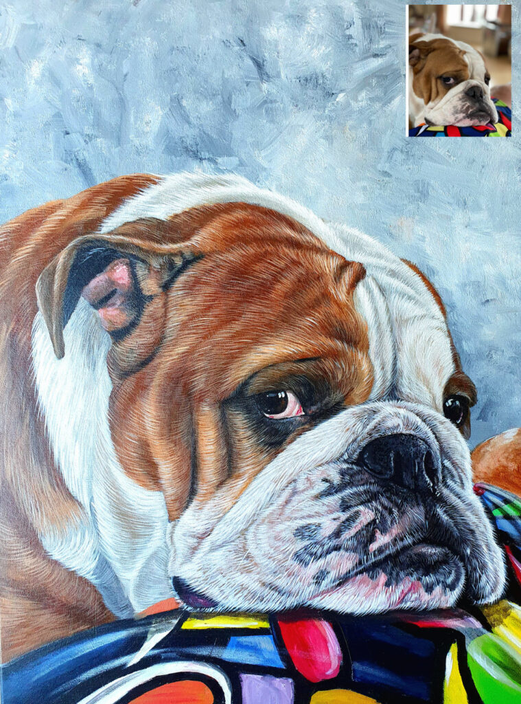 A Bulldog Portrait on Canvas Bobbys Hand Drawn Portraits