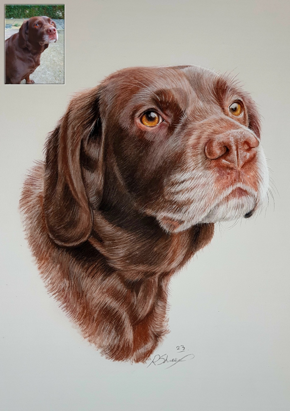 What size is right for my portrait commission? Bobbys Hand Drawn Portraits