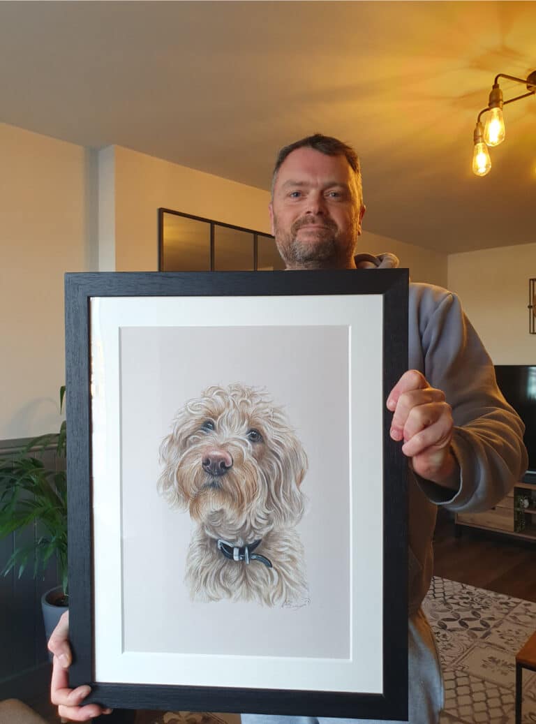 Cockapoo Dog Drawing Bobbys Hand Drawn Portraits