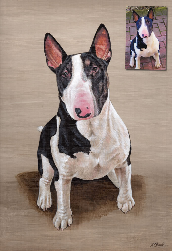 Bull Terrier portrait Bobbys Hand Drawn Portraits
