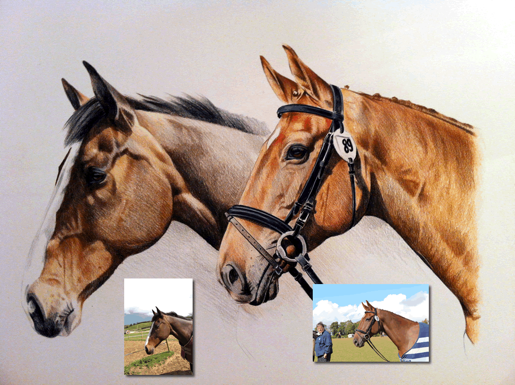 double horse drawing Bobbys Hand Drawn Portraits