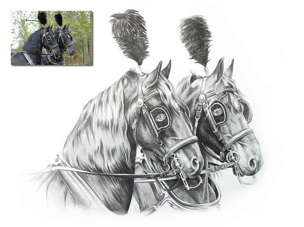 horse and cart horses Bobbys Hand Drawn Portraits