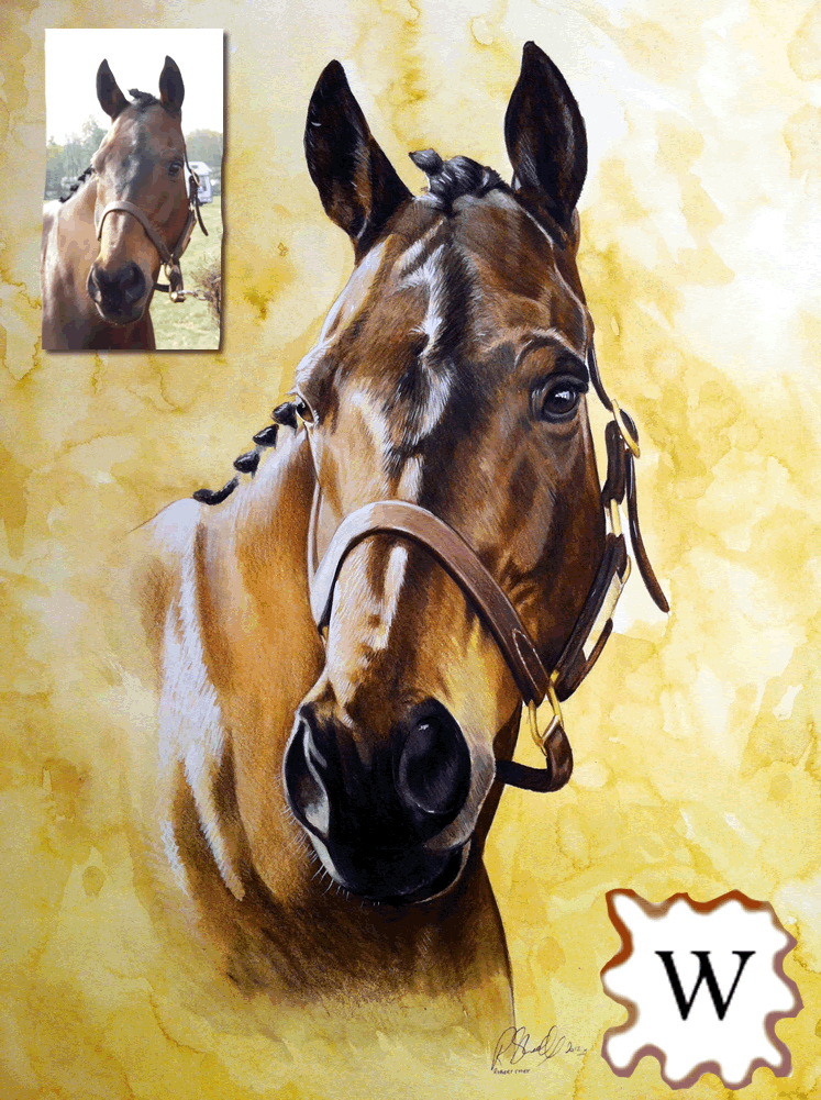 watercolour horse portrait Bobbys Hand Drawn Portraits