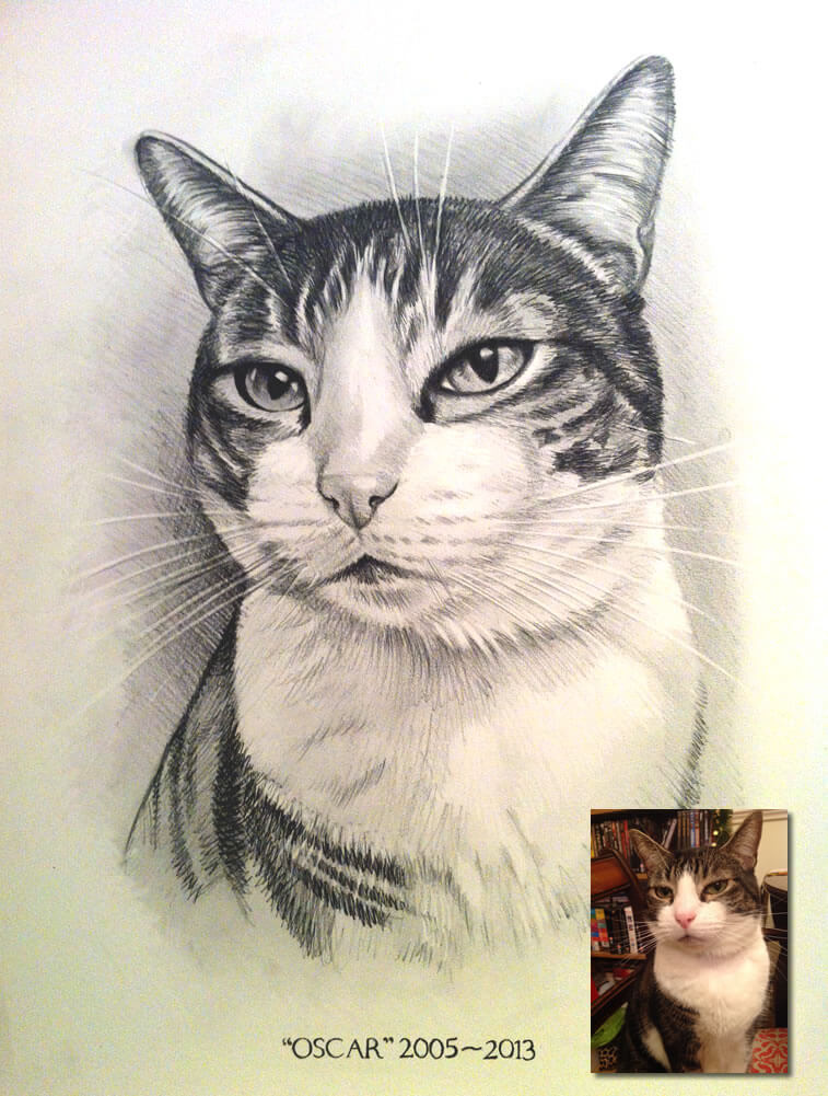 cat drawing Bobbys Hand Drawn Portraits