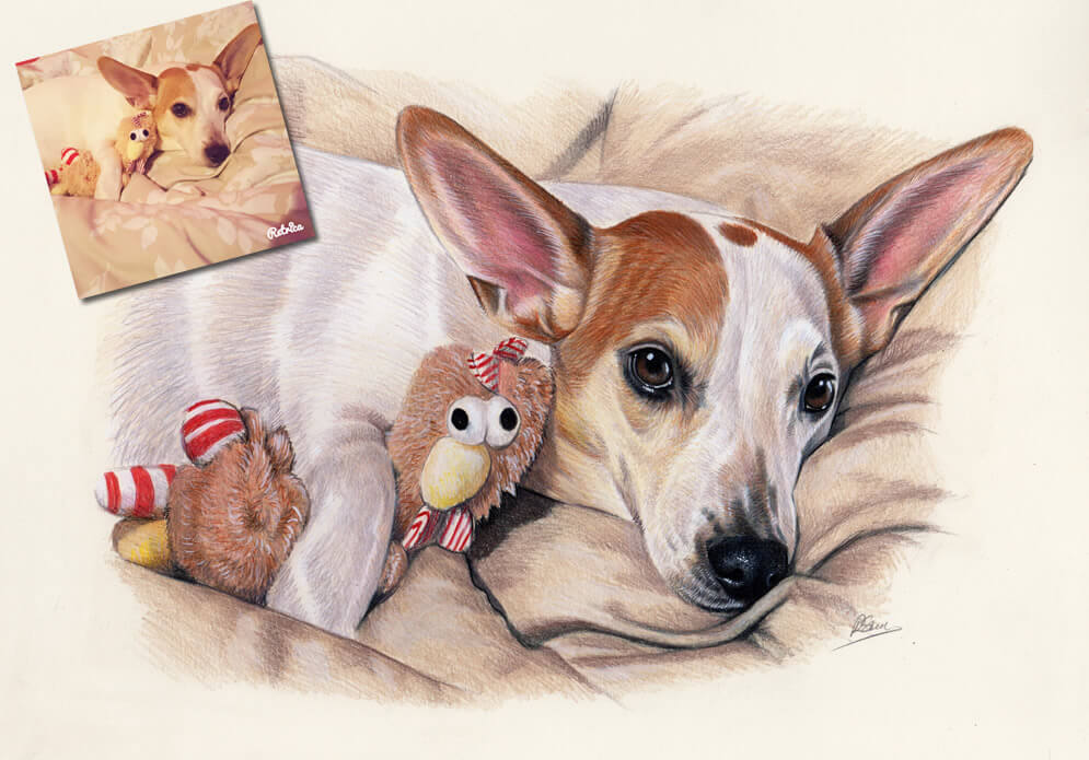 Jack Russell drawing