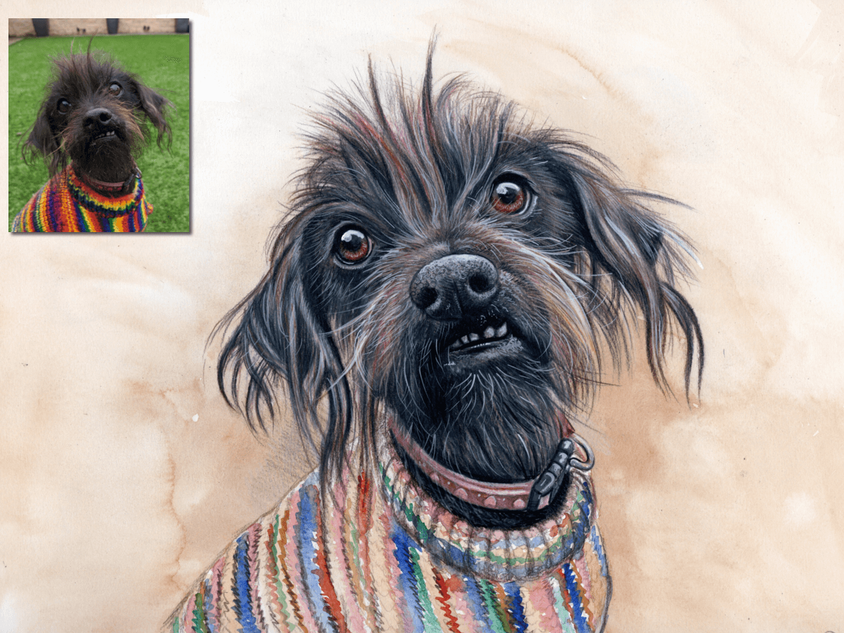 chinese crested drawing