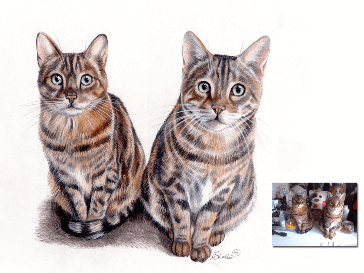 double cat drawing