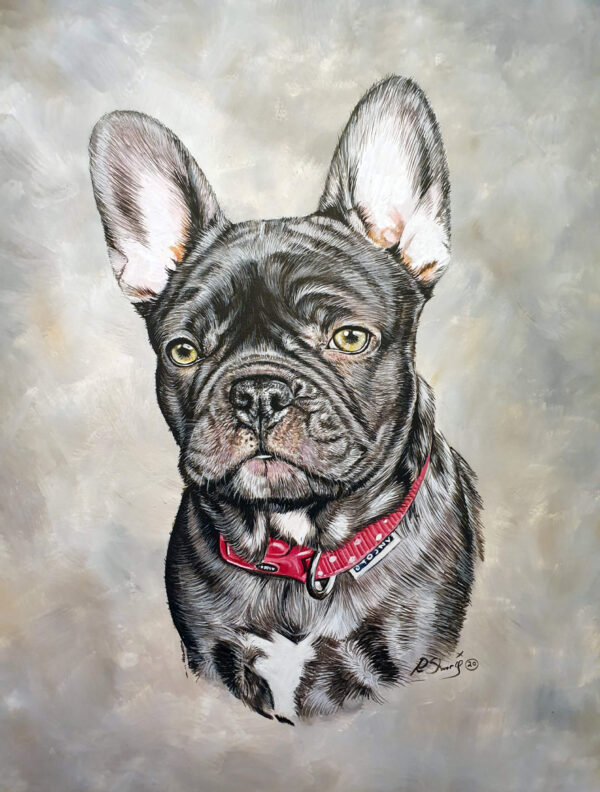 French bulldog, acrylic on canvas - Bobbys Hand Drawn Portraits.