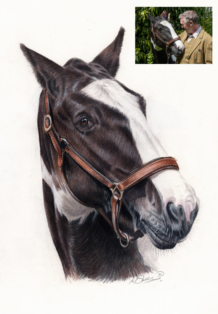 Horse Color Pencil Drawing by AtomiccircuS on DeviantArt