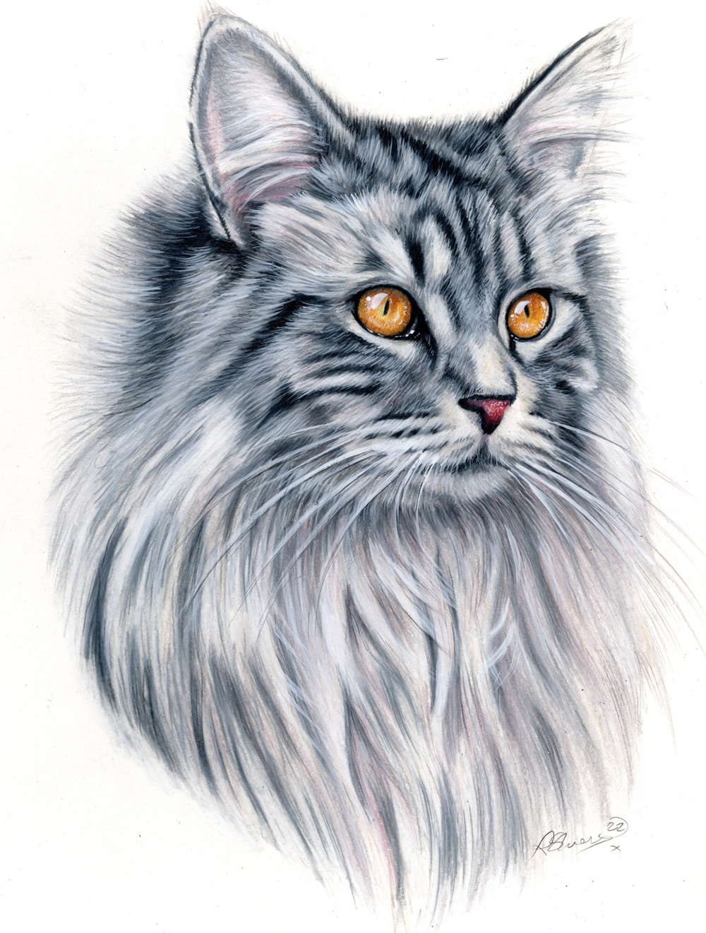 Done touching up my color pencil drawing of my sisters pet cat. Going to be  entering into a contest Thursday! Hoping it does well. - 9GAG