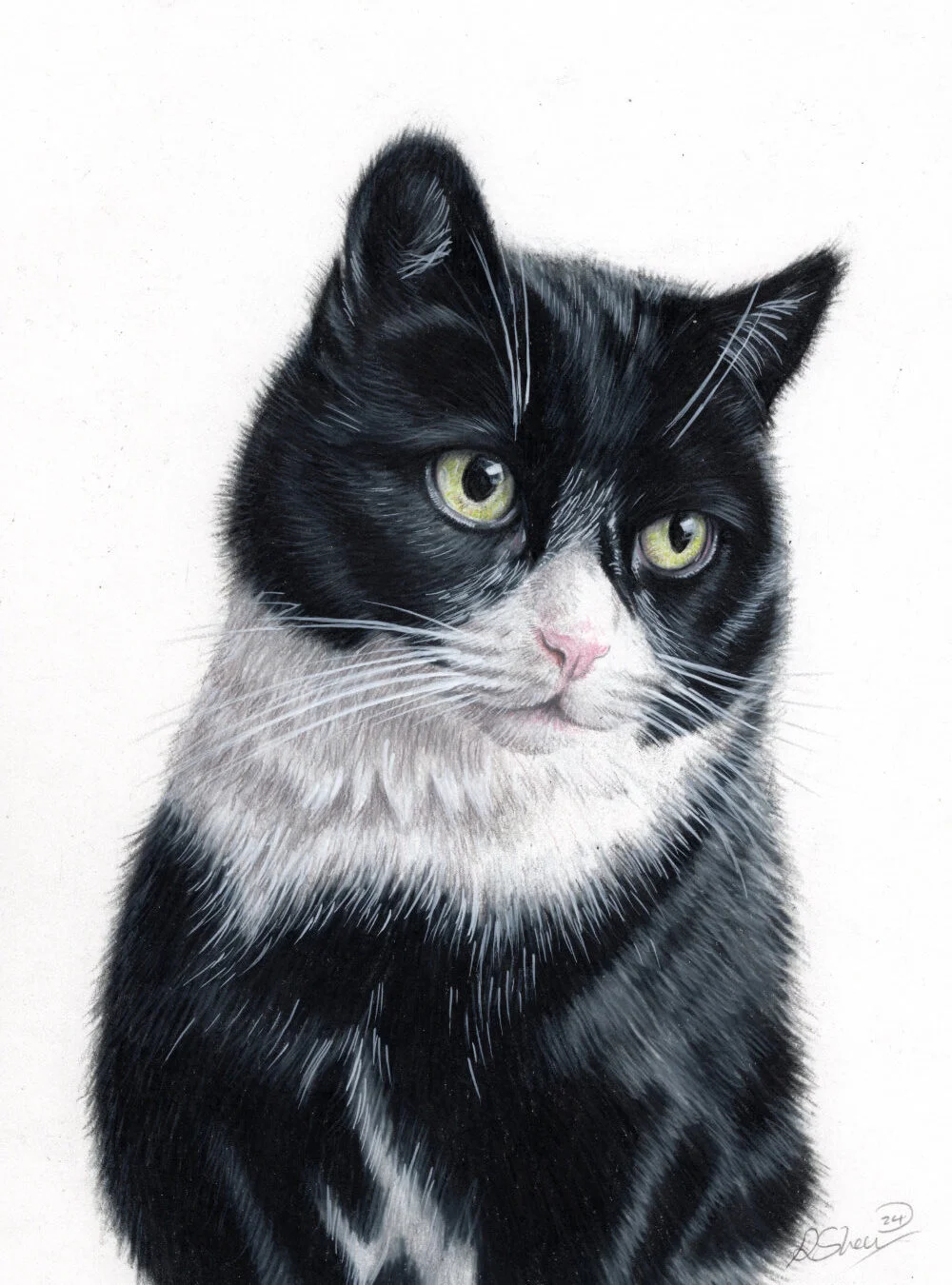 Custom Pet Portrait, Hand Painted Lifelike cheapest Digital Pet Painting from your Photo, Realistic Pet Art, dog painting, cat portrait