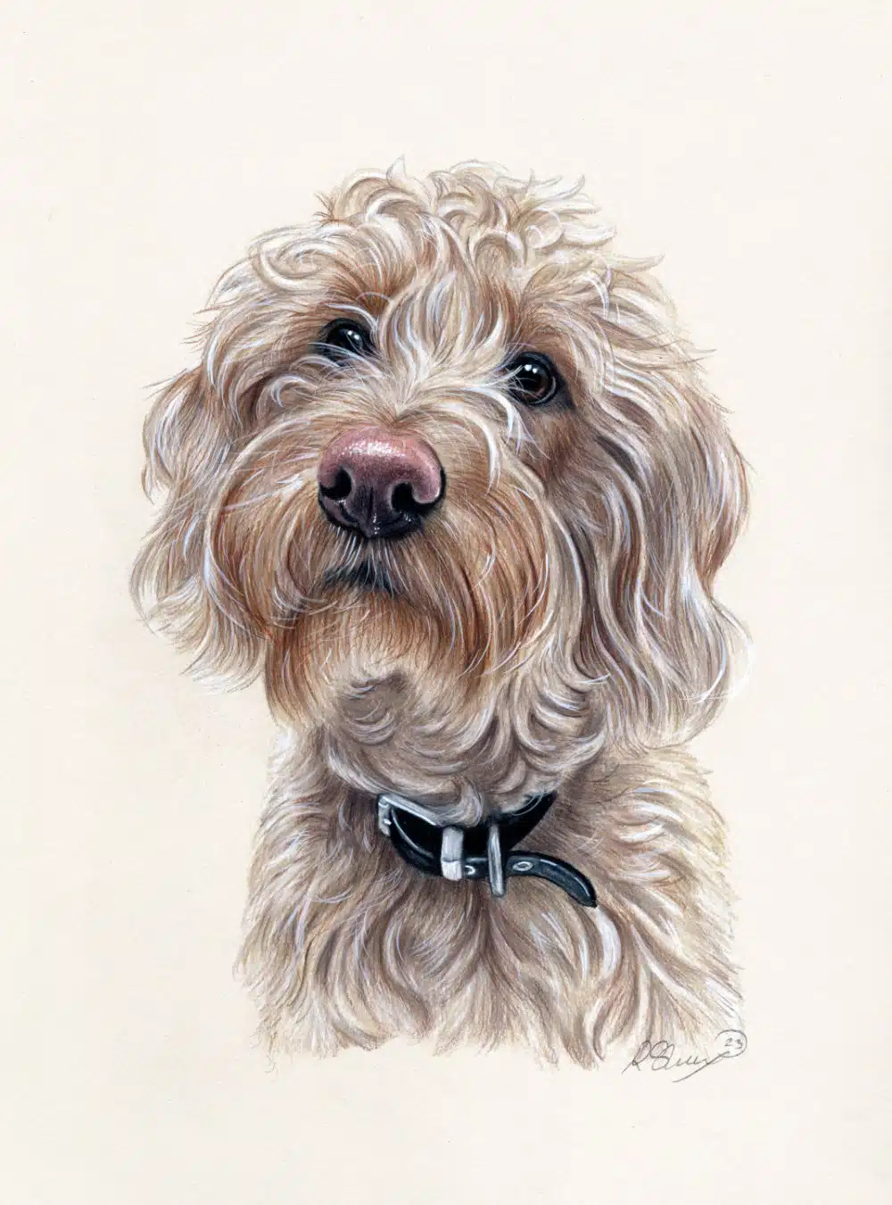 Featured image for “Portrait of the Beloved Cockapoo”