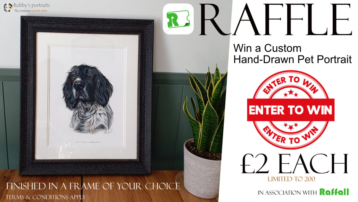 Win a Custom Hand-Drawn Pet Portrait Competition! £2 per ticket, limited to 200. Bobbys Hand Drawn Portraits