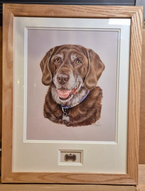 Stunning Memorial Pet Portraits Bobbys Hand Drawn Portraits